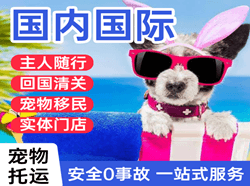大长山机场托运国际宠物托运 【国